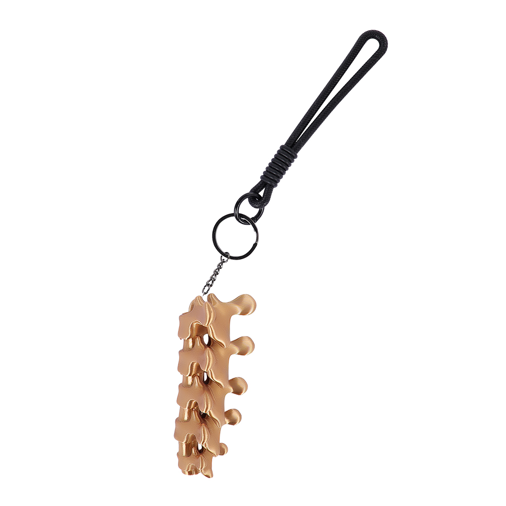 พวงกุญแจจี้รูปทรงกระดูกสันหลัง - Men Accessories Pendant บทวิจารณ์และราคา