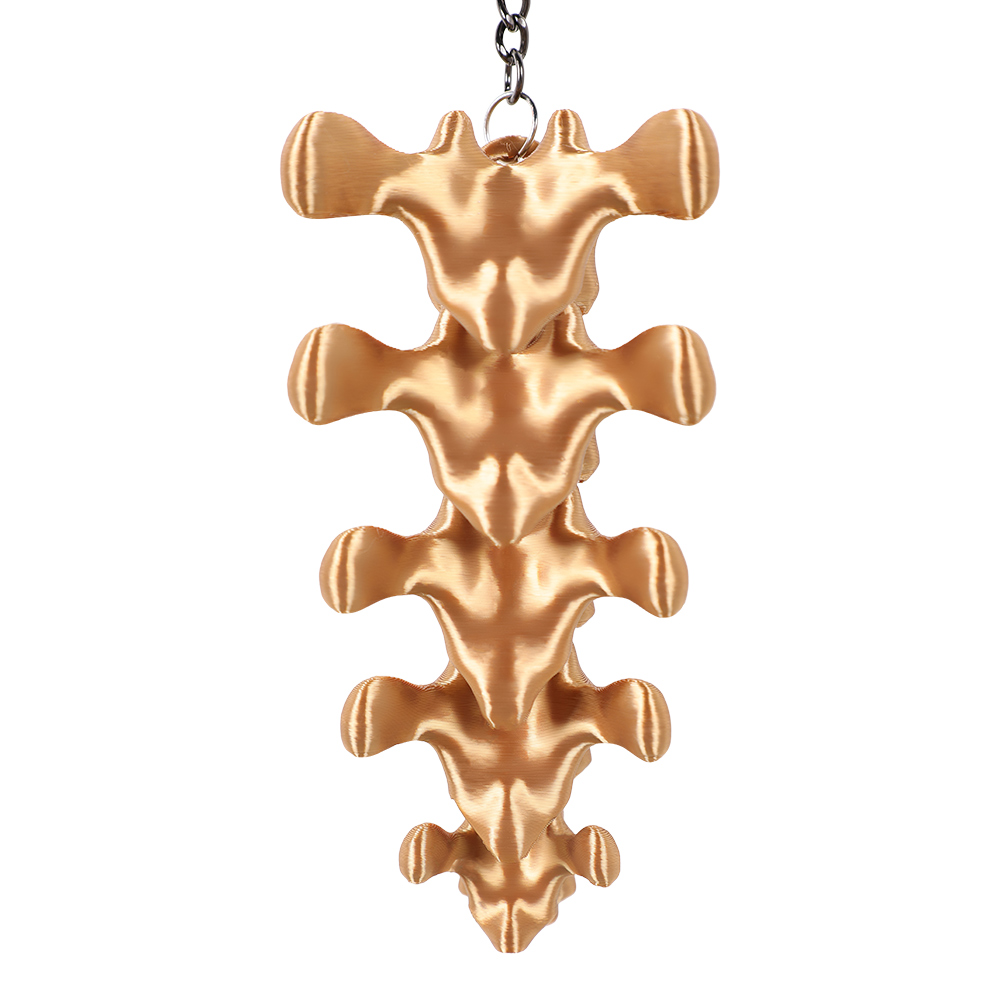 พวงกุญแจจี้รูปทรงกระดูกสันหลัง - Men Accessories Pendant บทวิจารณ์และราคา